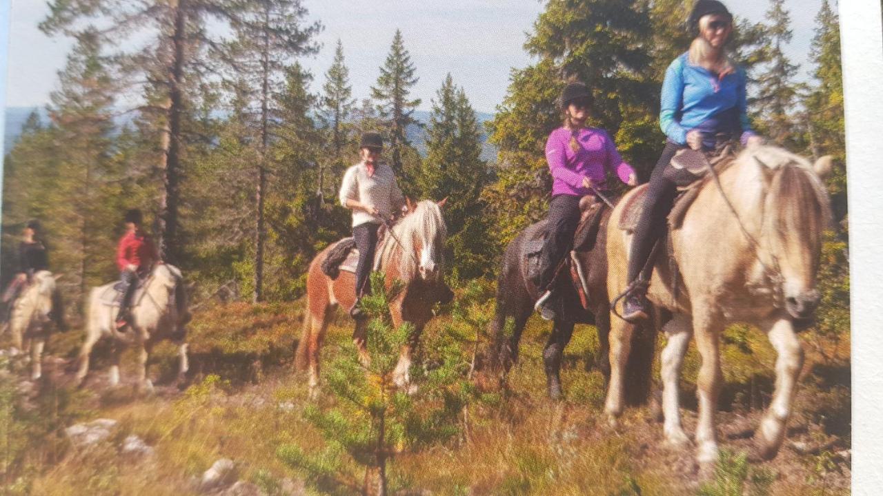 Solbjornlia Apartments Trysil Zewnętrze zdjęcie
